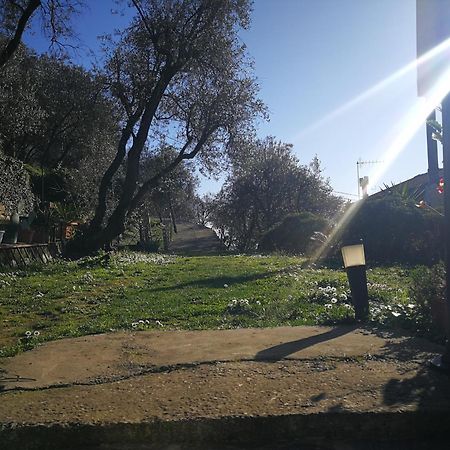 Ca Di Toni Bed and Breakfast Testana Εξωτερικό φωτογραφία